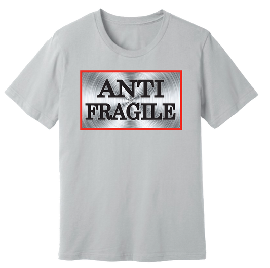 Antifragile Mindset
